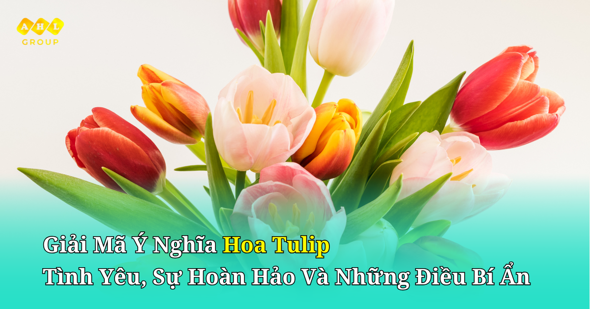 Giải mã ý nghĩa hoa tulip