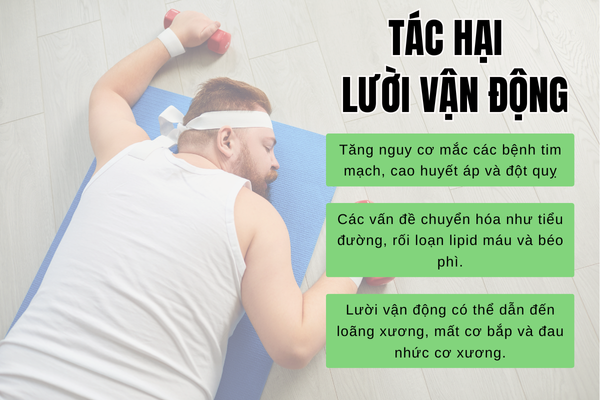 Ảnh nguyên nhân gây tăng cân là lười vận động