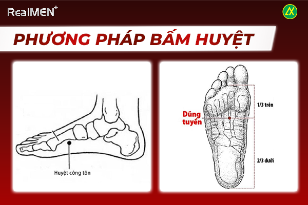 Huyệt KI1 thuộc hệ thống thận và Huyệt SP4 thuộc hệ thống tỳ vị