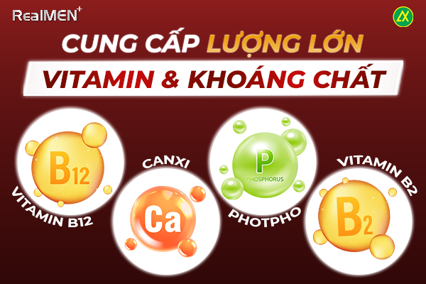 Sữa chua cung cấp một lượng lớn vitamin và khoáng chất