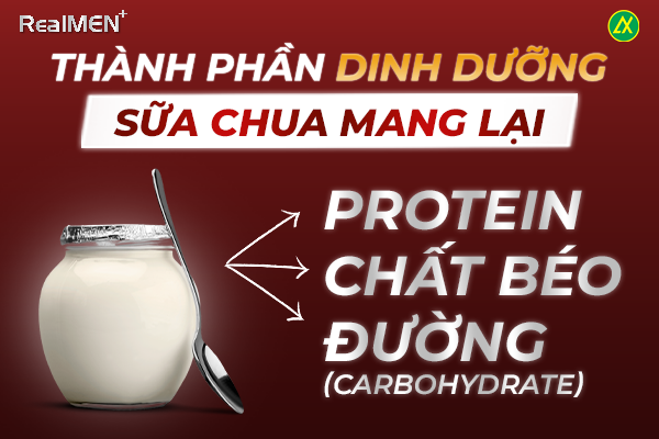 Sữa chua là một thực phẩm dinh dưỡng giàu protein