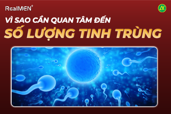 Số lượng tinh trùng đóng vai trò quan trọng trong khả năng sinh sản của nam giới