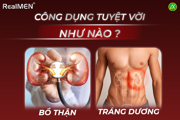 Công dụng dâm dương hoắc hỗ trợ bổ thận, tráng dương