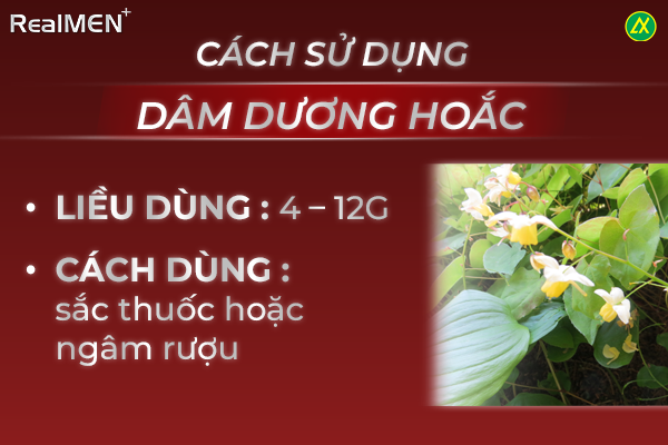 Dâm dương hoắc được sử dụng như thế nào?