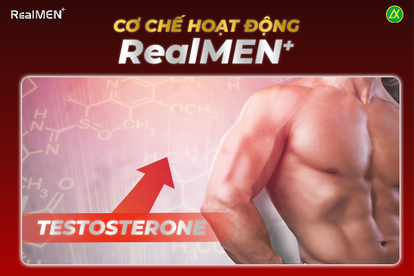 Cơ chế hoạt động của RealMEN+ mang lại cho sinh lý nam giới